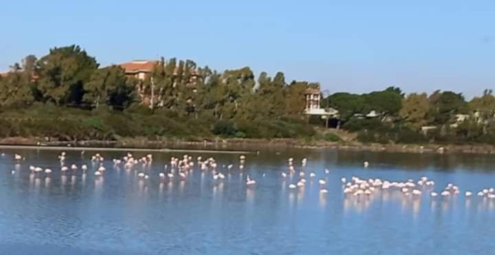 Вилла Turismo Rurale Pertunghe Sant' Antonio di Santadi Экстерьер фото